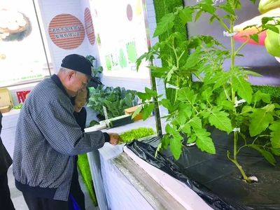热眼看农博丨绿色引领蝶变路 水稻