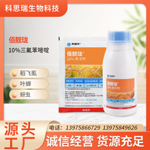 稻飞虱 水稻丰收的隐形杀手与综合防策略